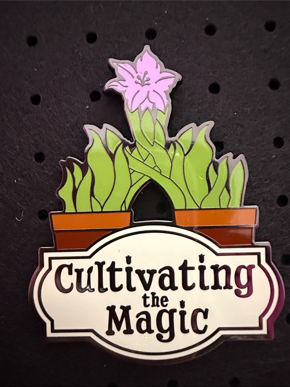 Disney Cultivating the Magic Pin